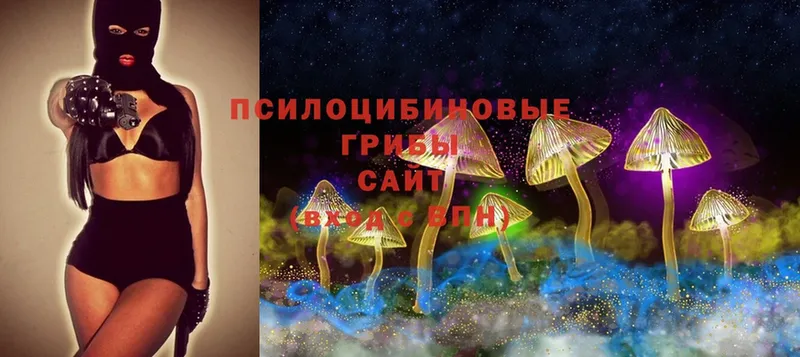 Галлюциногенные грибы Magic Shrooms  хочу наркоту  Лысьва 